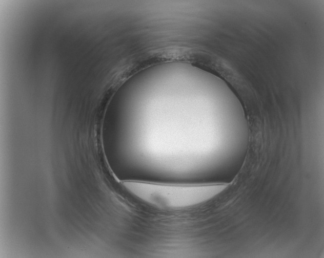X0000068310696200604211037