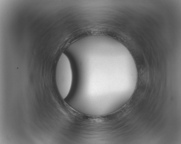 X0000068310698200604211037