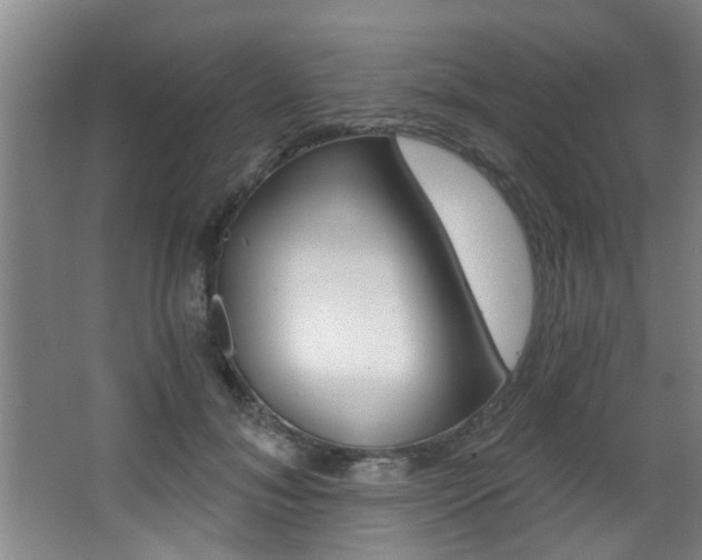 X0000068310700200604211037