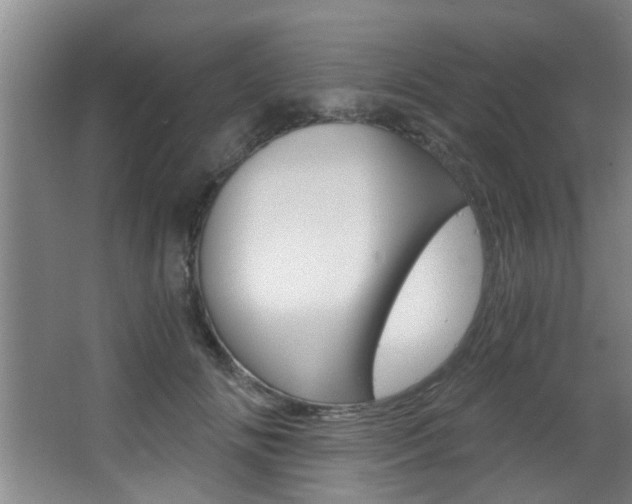 X0000068310702200604211037