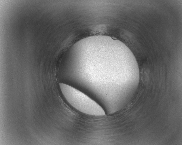 X0000068310714200604211036