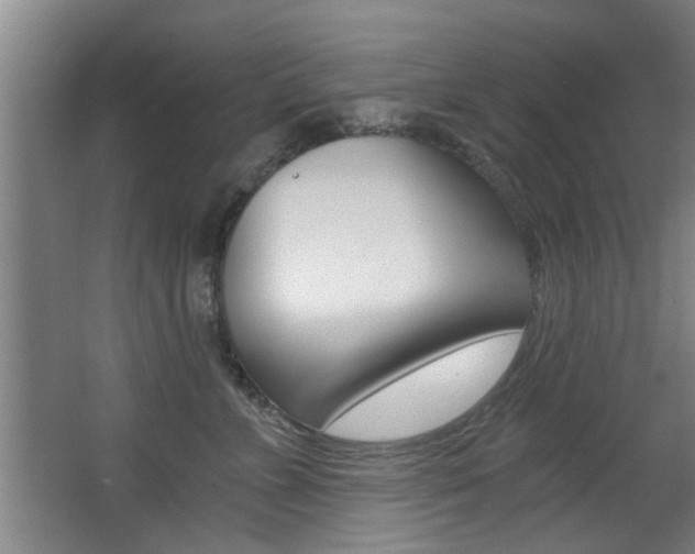 X0000068310715200604211036