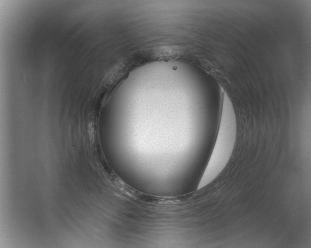 X0000068310716200604211036