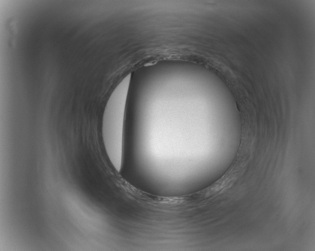 X0000068310720200604211036