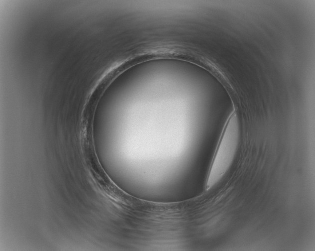 X0000068310723200604211036