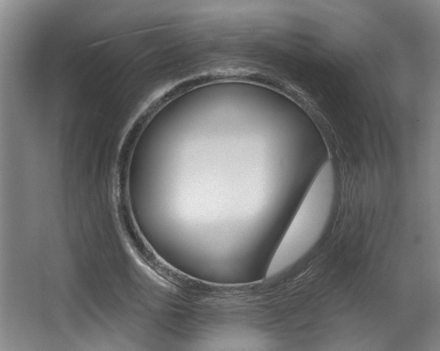 X0000068310726200604211036