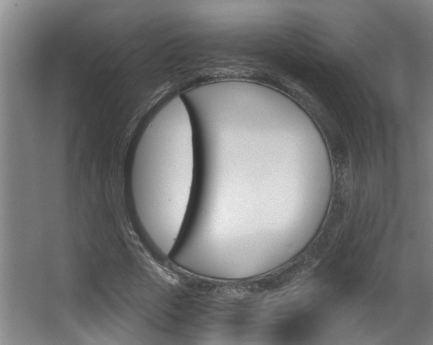 X0000068310729200604211036