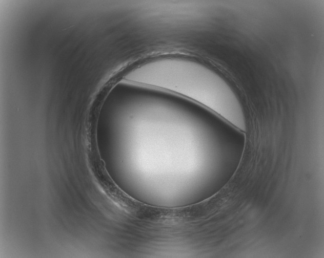 X0000068310732200604211036