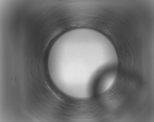X0000068310735200604211036