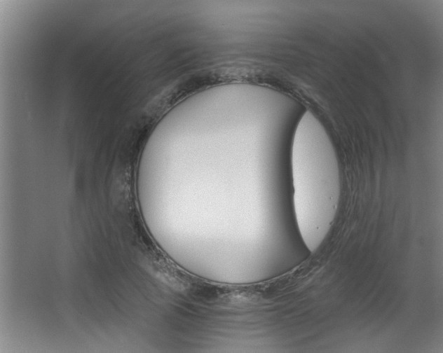 X0000068310737200604211036