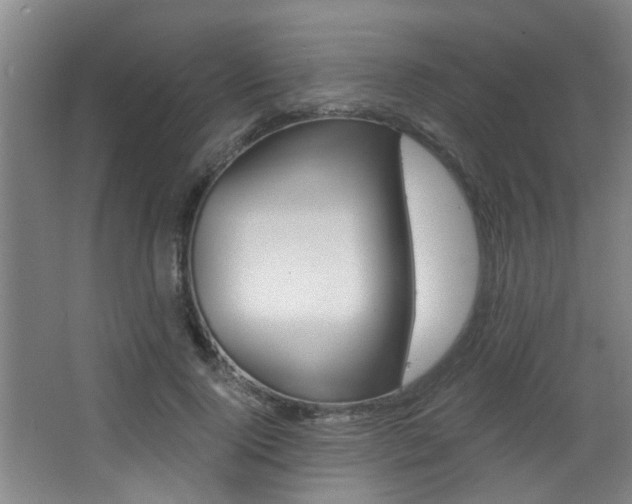 X0000068310740200604211036