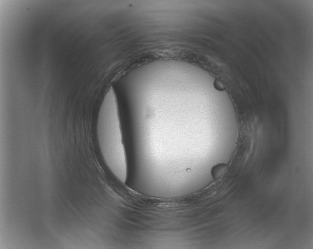 X0000068310749200604211036