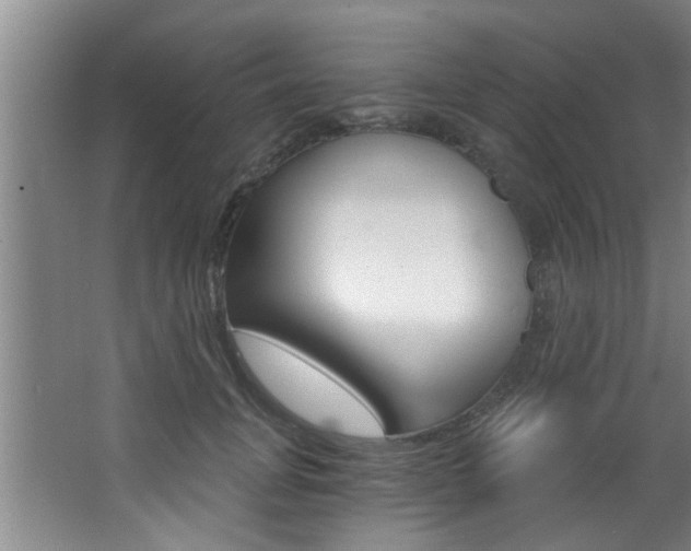 X0000068310751200604211036