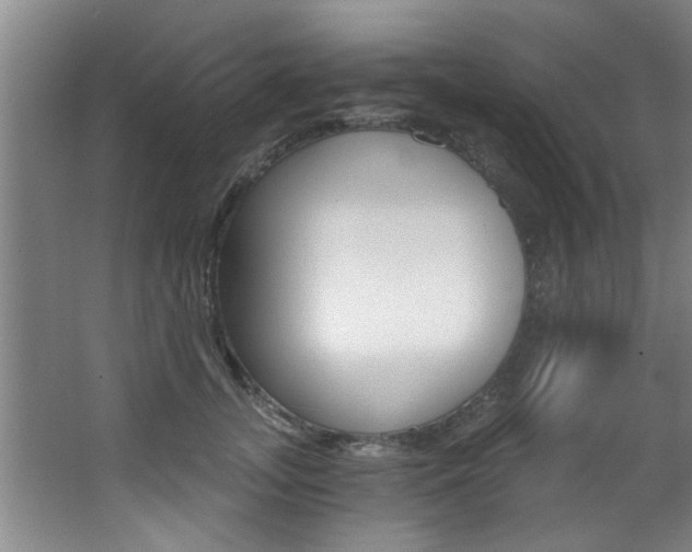 X0000068310755200604211036