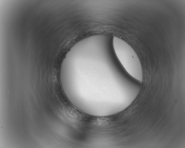 X0000068310758200604211036