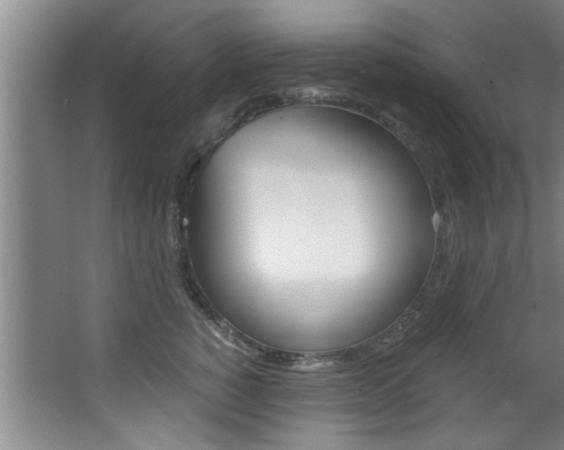 X0000068310760200604211036