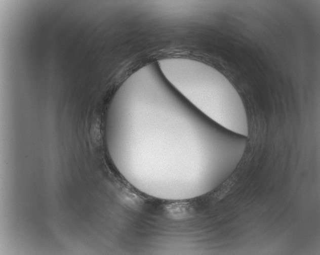 X0000068310761200604211036