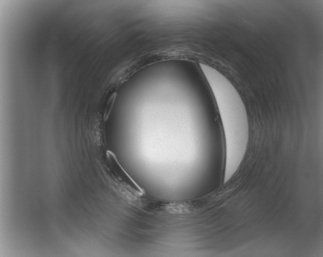 X0000068310762200604211036