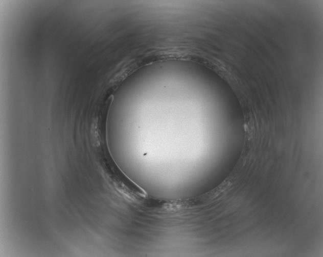 X0000068310764200604211036