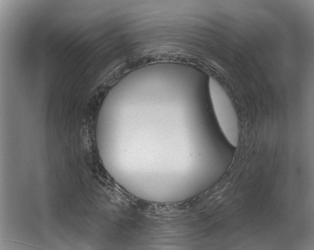 X0000068310774200604211035