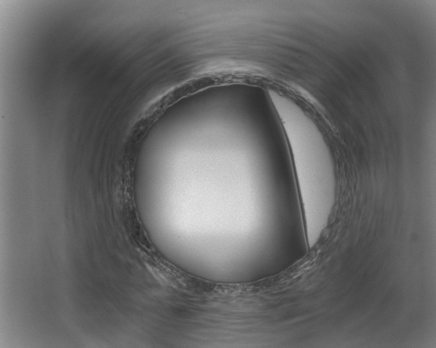 X0000068310775200604211035
