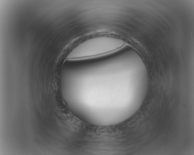X0000068310776200604211035