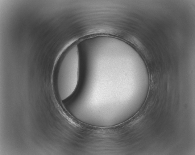 X0000068310780200604211035