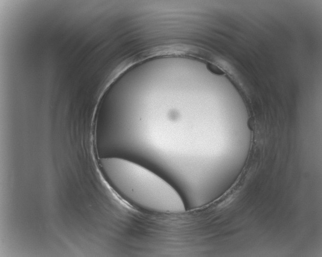 X0000068310802200604211035