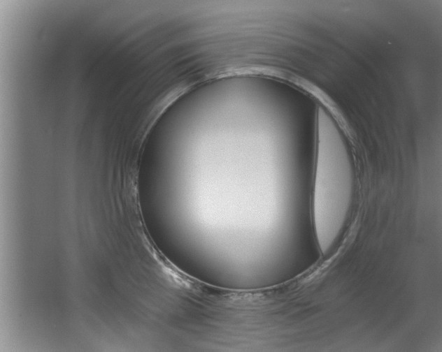 X0000068310809200604211035