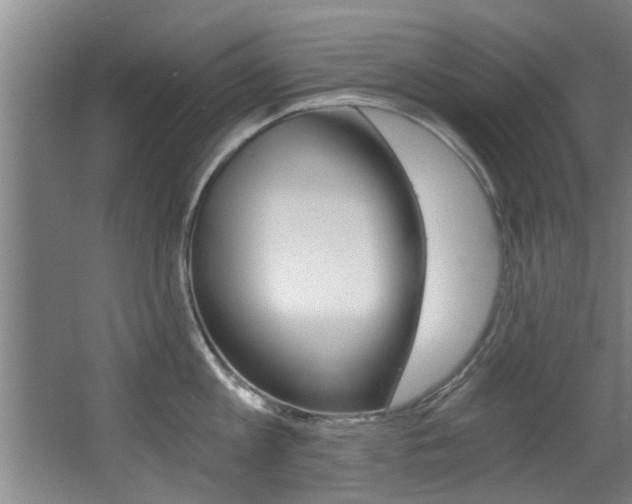X0000068310813200604211035