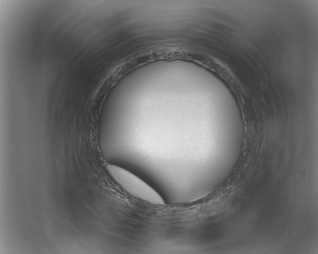 X0000068310823200604211034