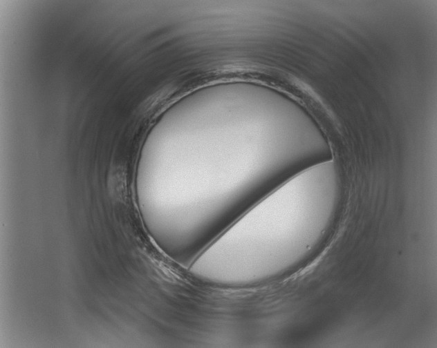 X0000068310825200604211034