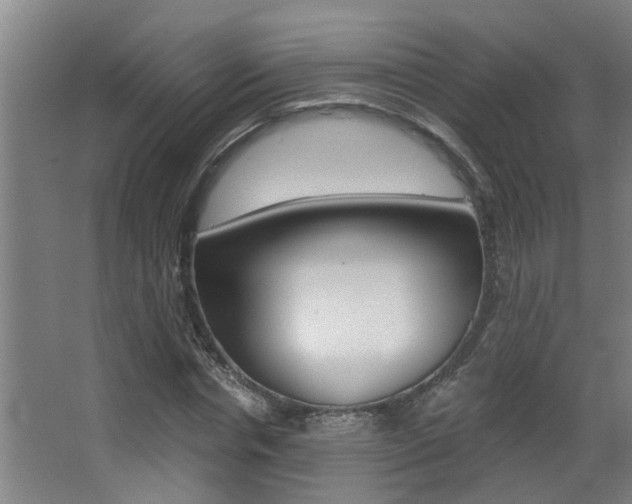 X0000068310826200604211034