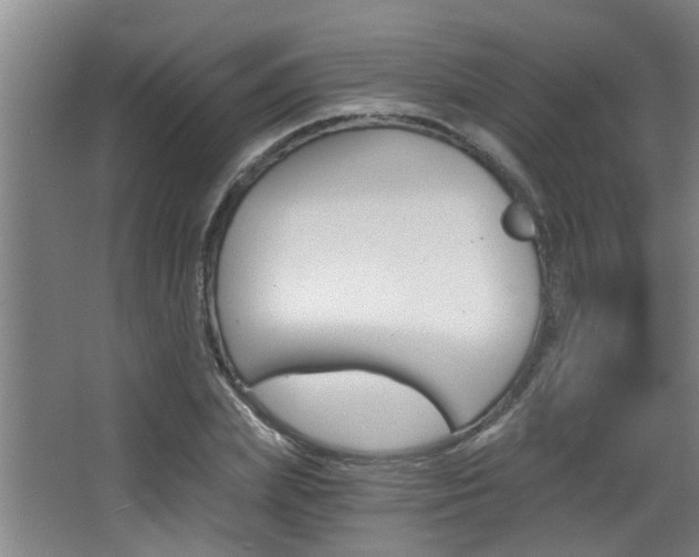 X0000068310831200604211034