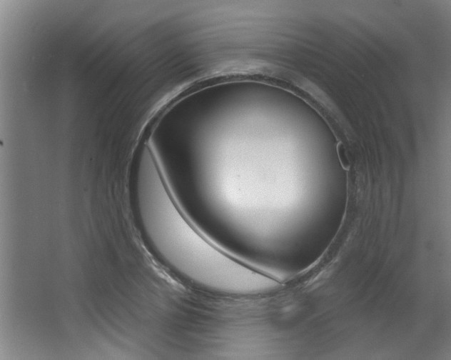 X0000068310834200604211034