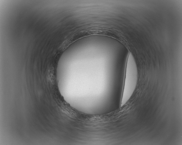 X0000068310867200604211034