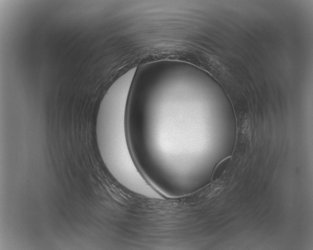 X0000068310868200604211034