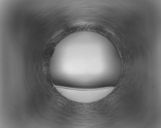 X0000068310869200604211034