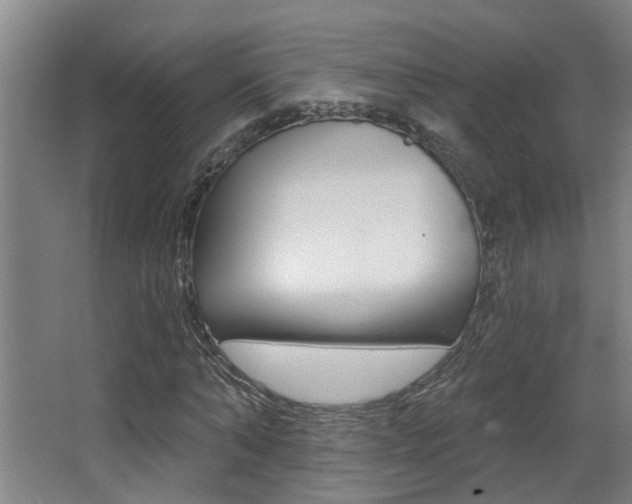 X0000068310870200604211034