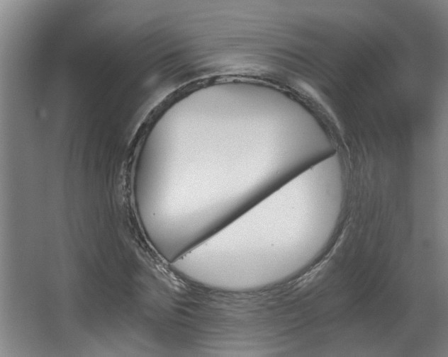 X0000068310875200604211034