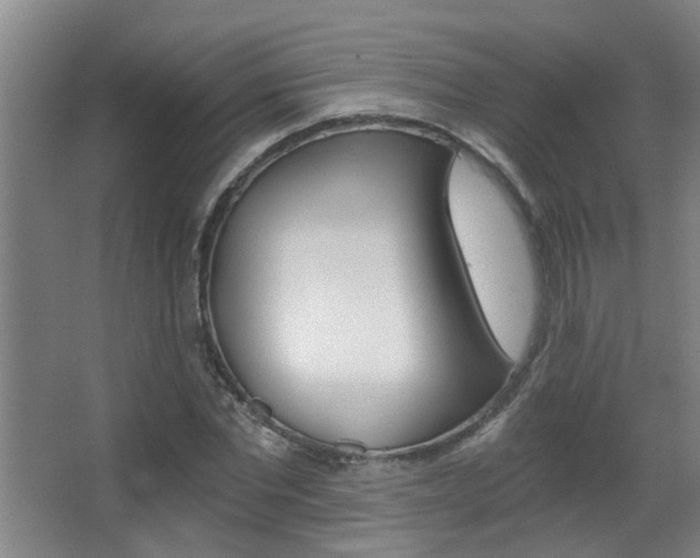 X0000068310877200604211034
