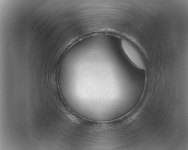 X0000068310881200604211034