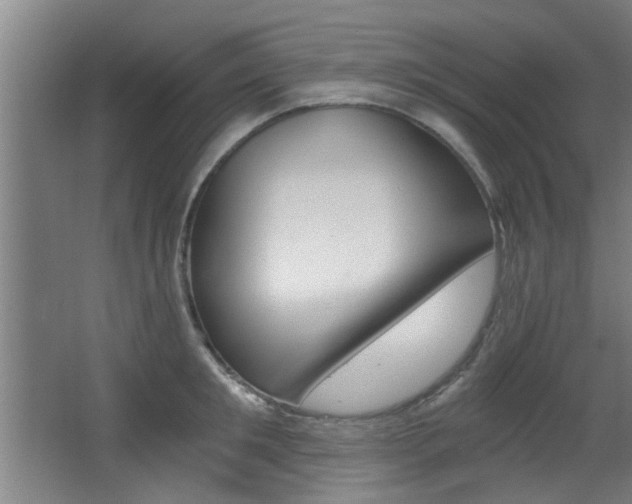 X0000068310901200604211033
