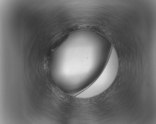 X0000068310914200604211032