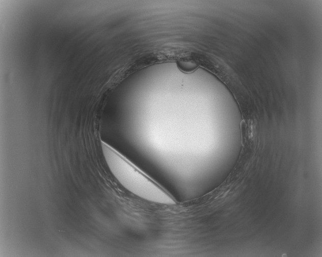 X0000068310915200604211032