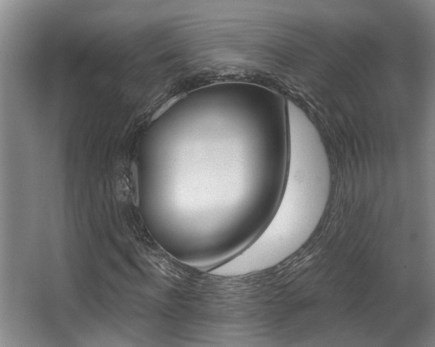 X0000068310916200604211032