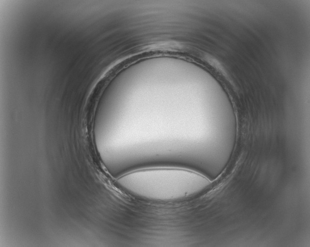 X0000068310923200604211032