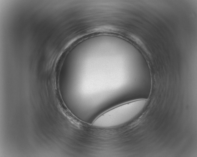 X0000068310931200604211033