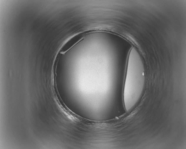 X0000068310940200604211033