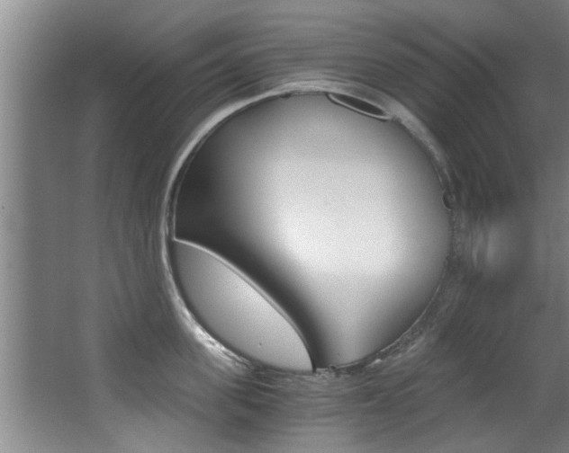 X0000068310955200604211033
